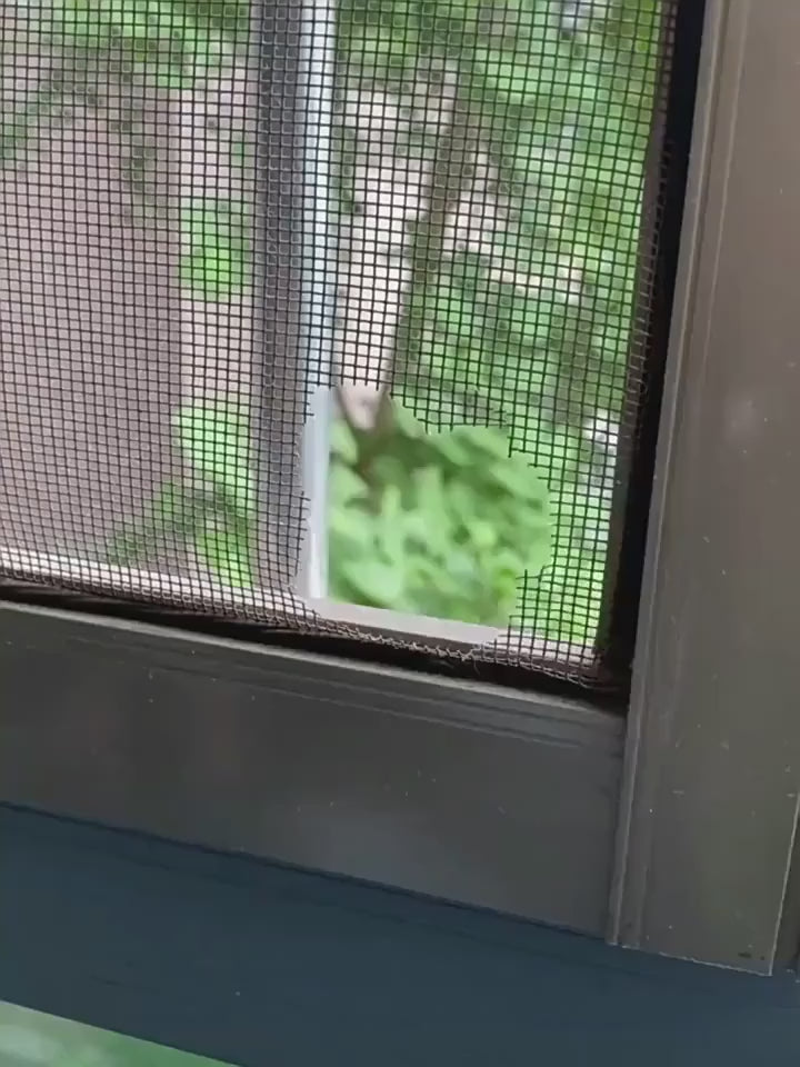Window Mosquito Net Repair Tape